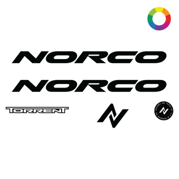 Custom 2024 Norco Torrent